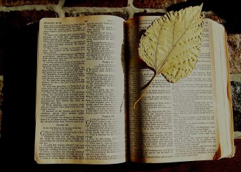 The Power of Parables: Exploring the Stories of Jesus in the New Testament