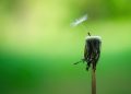 The Connection Between Faith and Resilience: How Belief Can Help You Bounce Back from Hardship