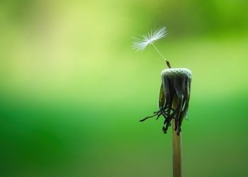 The Connection Between Faith and Resilience: How Belief Can Help You Bounce Back from Hardship