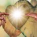 Overcoming Challenges and Conflict within the Body of Christ