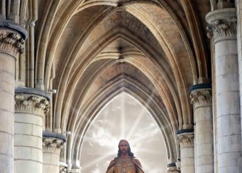 The Role of Each Member in the Functioning of the Body of Christ