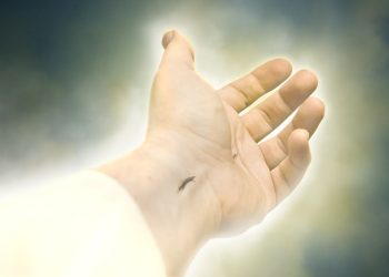 Living Out the Gospel as a Unified Body of Christ.