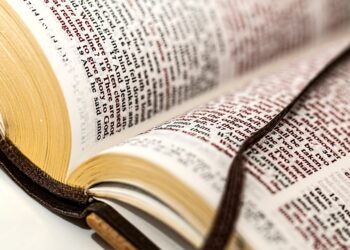 The Formation of the New Testament: Tracing the Development of the Canon