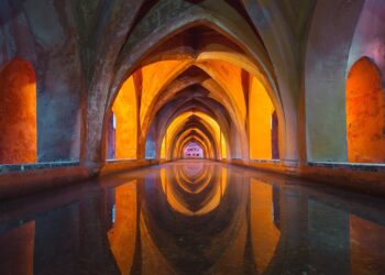 The Role of Women in the Church: A Changing Landscape