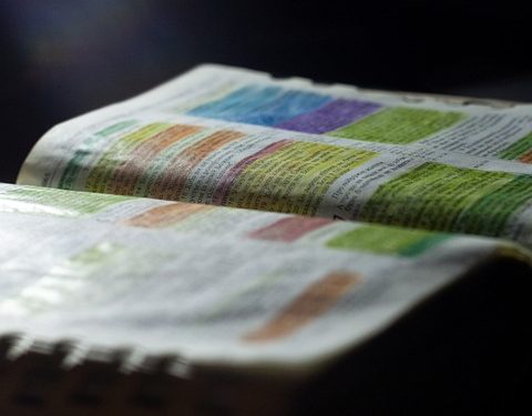 The Cultural Context of the New Testament: How Ancient Beliefs and Practices Shaped the Texts