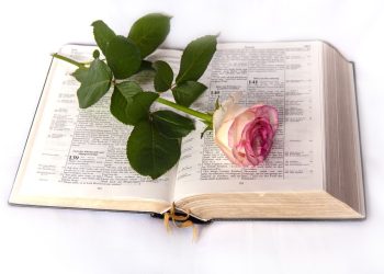 From Genesis to Revelation: Navigating the Bible with Bible Hub’s User-Friendly Interface