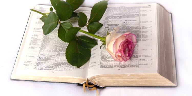 From Genesis to Revelation: Navigating the Bible with Bible Hub’s User-Friendly Interface