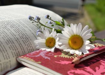 The Ultimate Online Resource for Bible Study: An In-Depth Look at Bible Hub