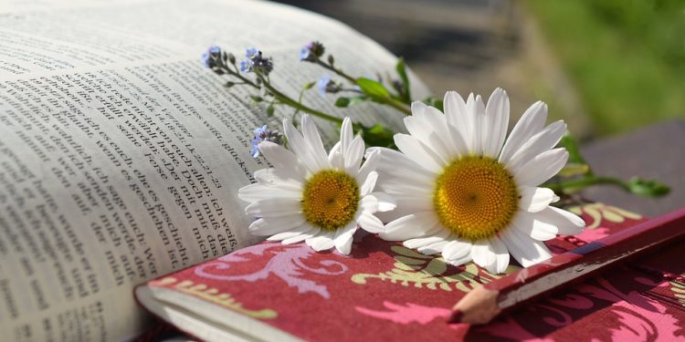 The Ultimate Online Resource for Bible Study: An In-Depth Look at Bible Hub