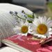 The Ultimate Online Resource for Bible Study: An In-Depth Look at Bible Hub