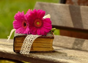 A Comprehensive Guide to Bible Study: Exploring the Features of Bible Hub