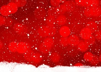 The Importance of Every Member in the Body of Christ: Lessons from Scripture