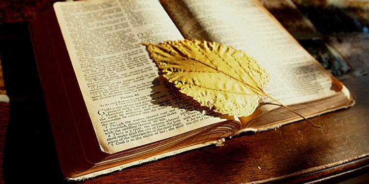 Unlocking the Key to Life: Exploring the Wisdom of the Bible