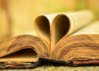 The Ultimate Guide to Bible Hub: Tips and Tricks for Using the Online Resource