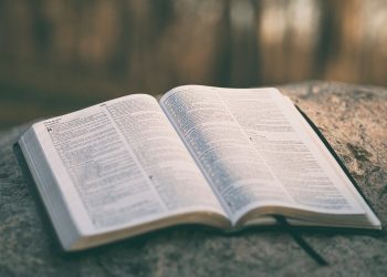 How Bible Hub Can Enhance Your Understanding of Scripture
