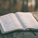 How Bible Hub Can Enhance Your Understanding of Scripture