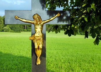 A Day in the Life of a Member of the Body of Christ Church